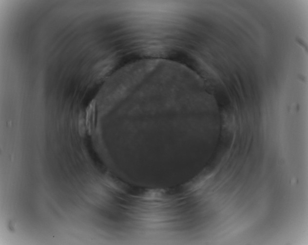 X0000097490080200803142006