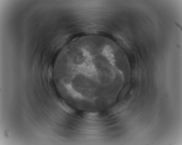 X0000097490081200803142006