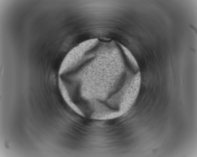 X0000097490086200803142006