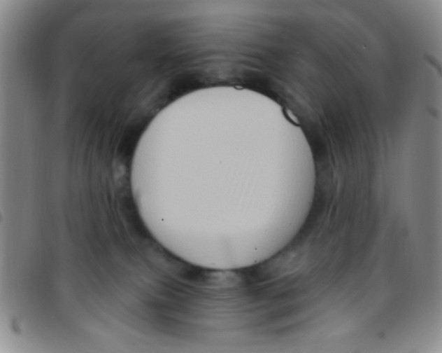 X0000097490087200803142006