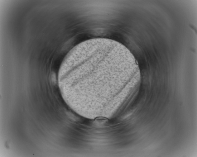 X0000097490089200803142006