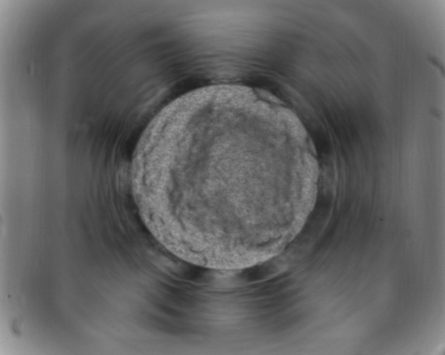 X0000097490093200803142006