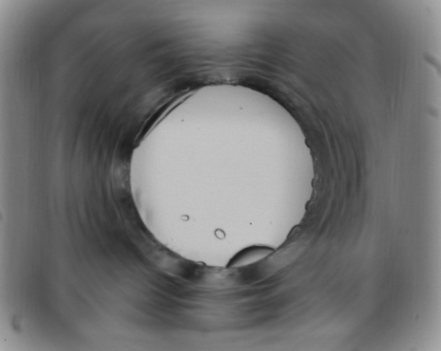 X0000097490096200803142007