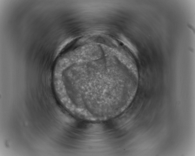 X0000097490107200803142006