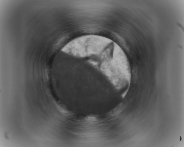 X0000097490114200803142006