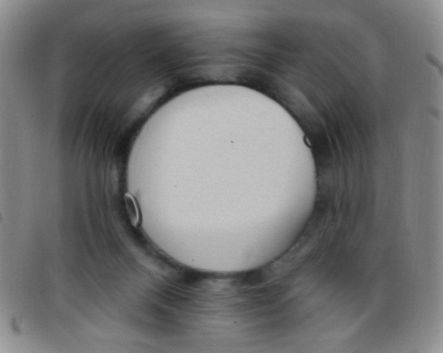 X0000097490120200803142006