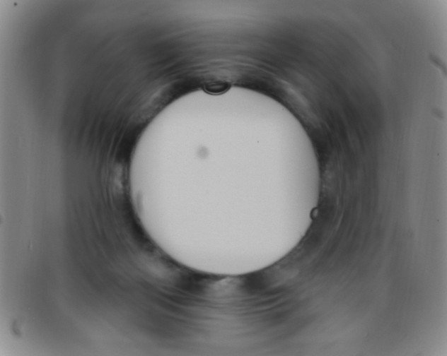 X0000097490122200803142006