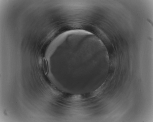 X0000097490124200803142005