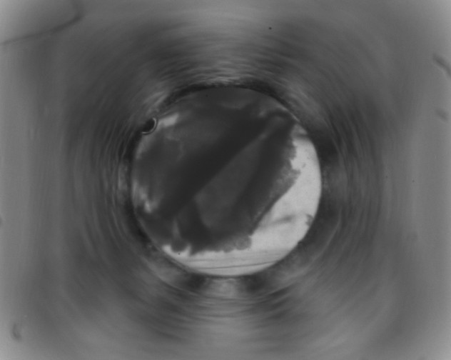 X0000097490127200803142005