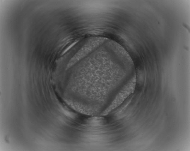 X0000097490128200803142005