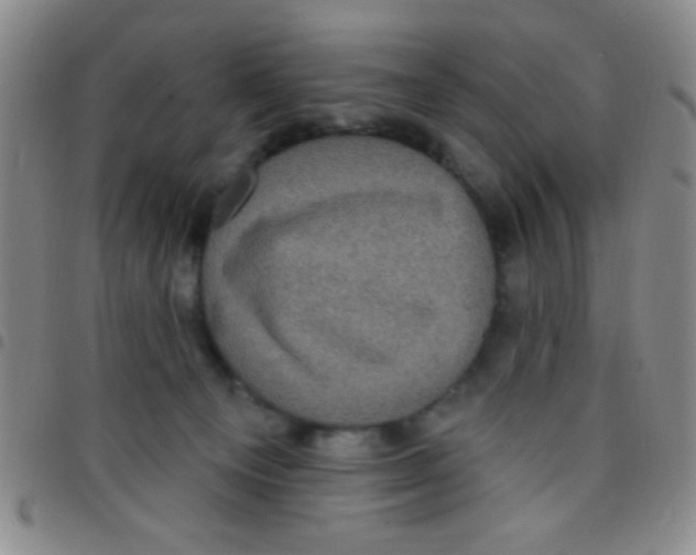 X0000097490129200803142005