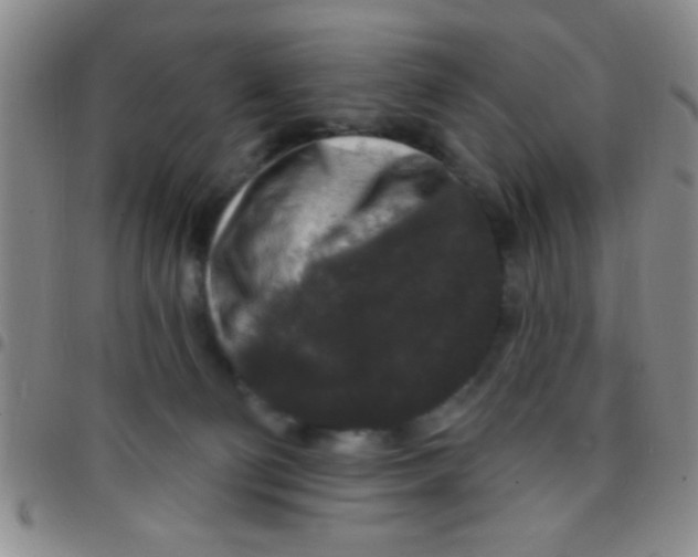 X0000097490130200803142005