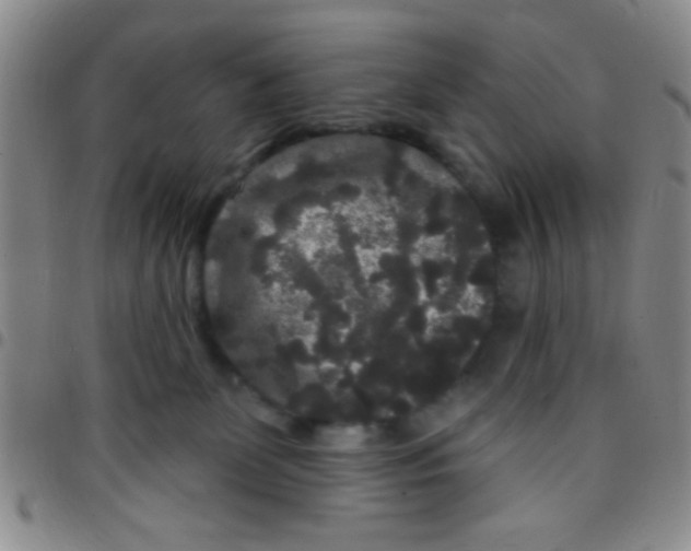 X0000097490131200803142005