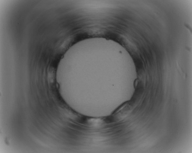 X0000097490133200803142005