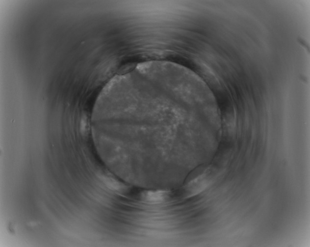 X0000097490134200803142005