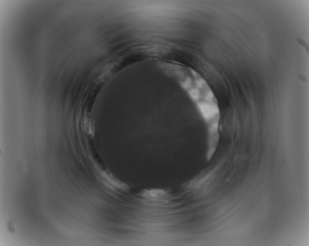 X0000097490137200803142005