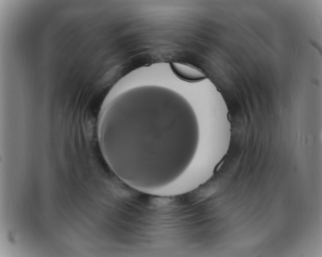 X0000097490139200803142005