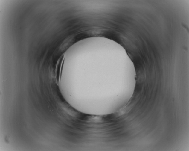 X0000097490140200803142005