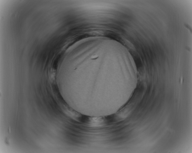 X0000097490141200803142005