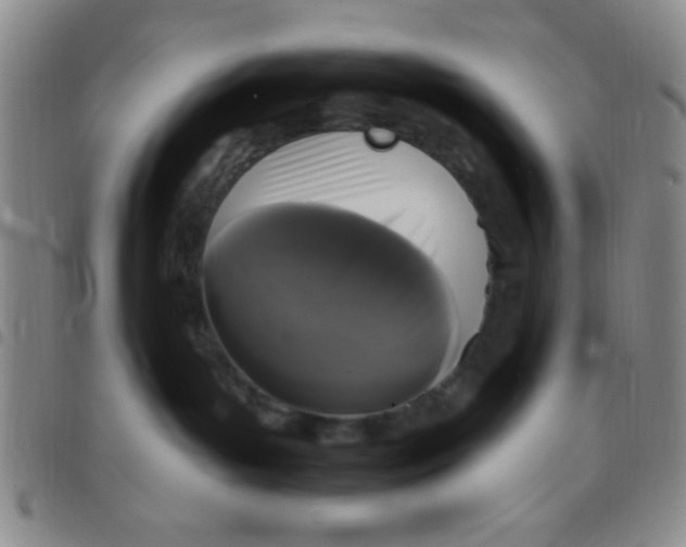 X0000097490143200803142005