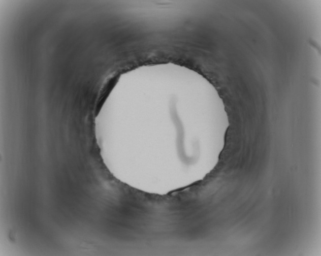 X0000097490144200803142005