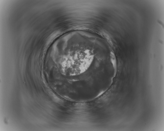 X0000097490145200803142005