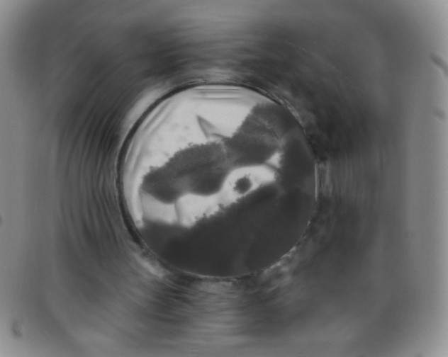 X0000097490147200803142005