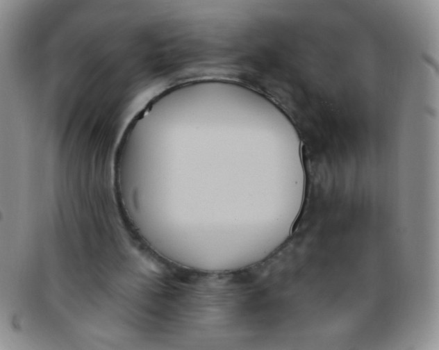 X0000097490148200803142005