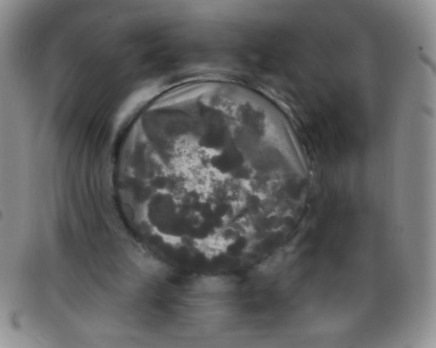 X0000097490149200803142005