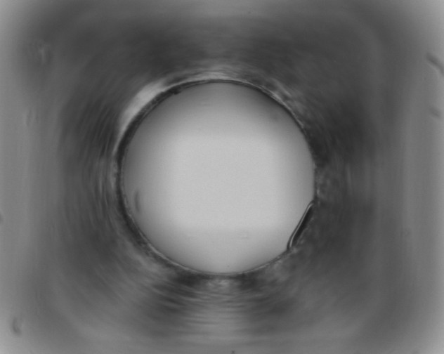 X0000097490152200803142005