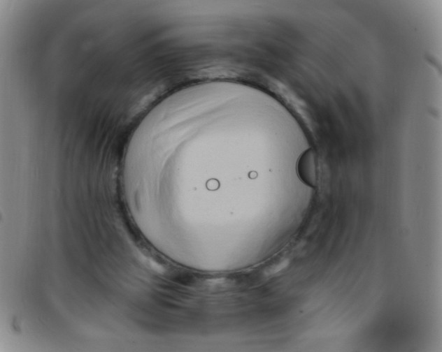 X0000097490153200803142005