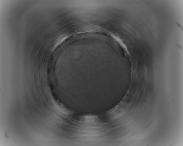 X0000097490154200803142005