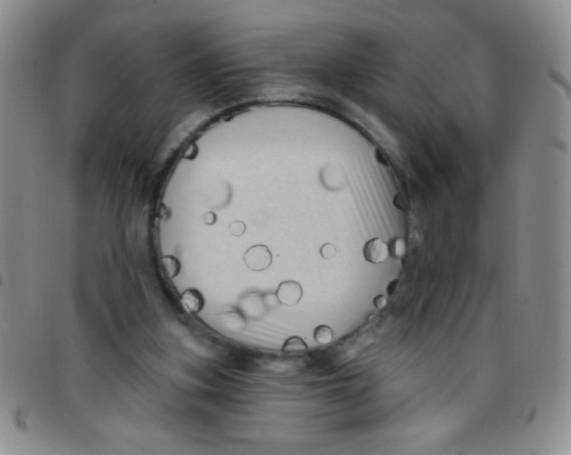 X0000097490155200803142005