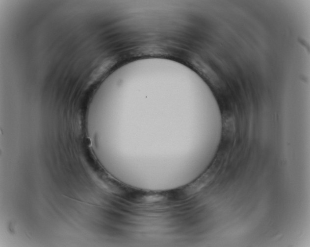 X0000097490158200803142005