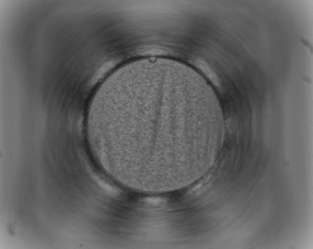 X0000097490159200803142005