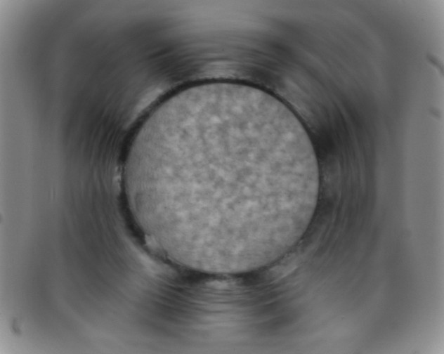 X0000097490160200803142005