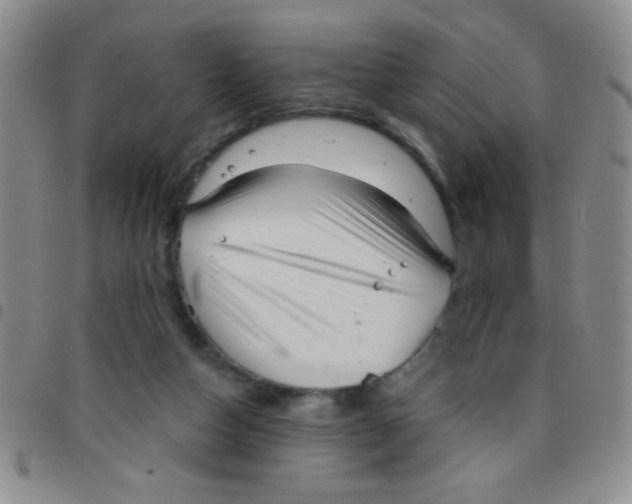 X0000097490162200803142005