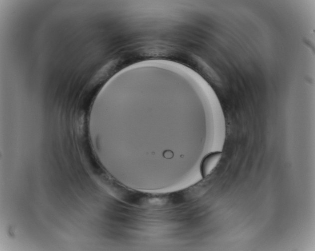 X0000097490163200803142005