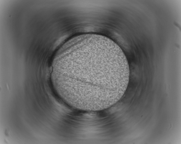 X0000097490164200803142005