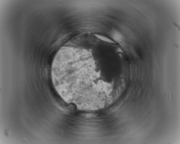 X0000097490165200803142005