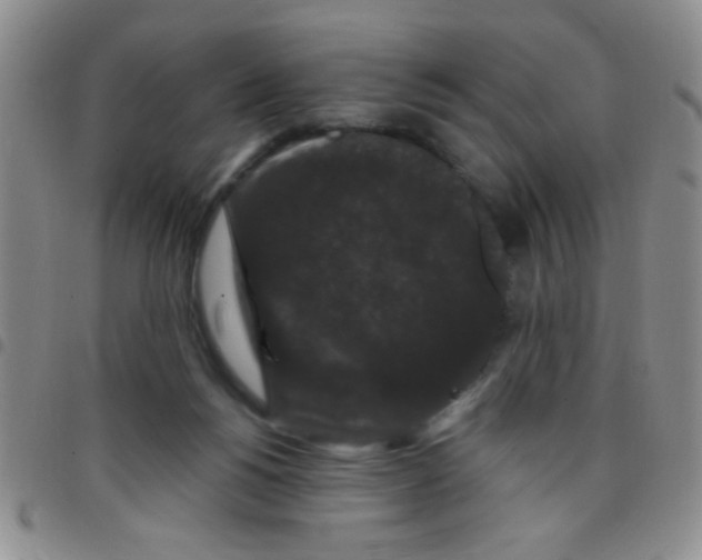 X0000097490168200803142005