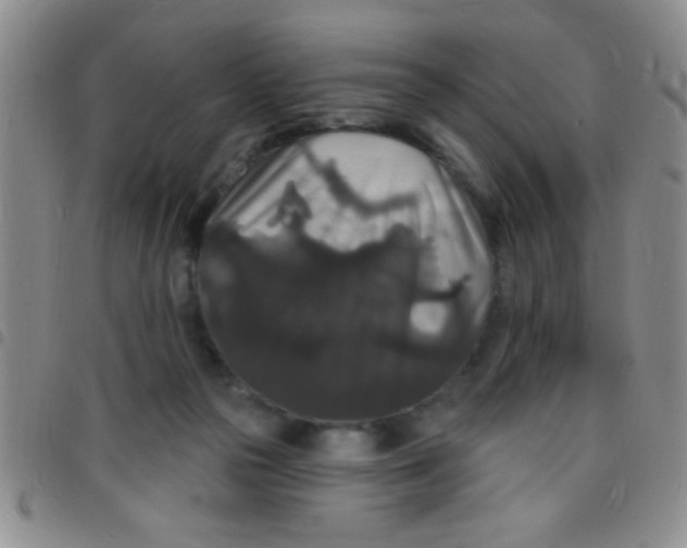 X0000097490169200803142005