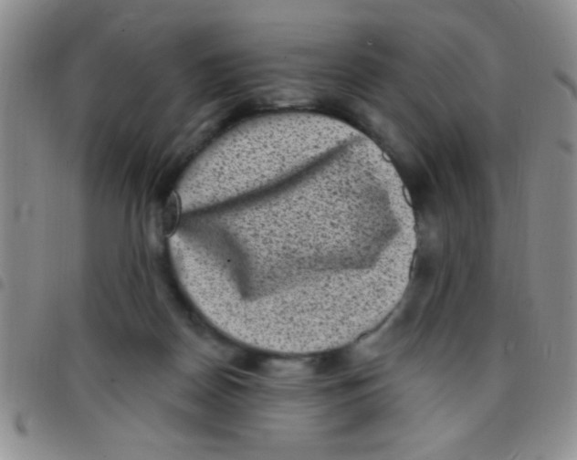 X0000097490170200803142005