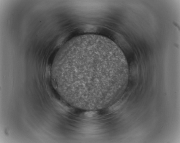 X0000097490172200803142005