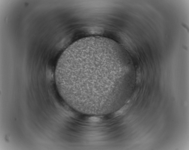 X0000097490176200803142005