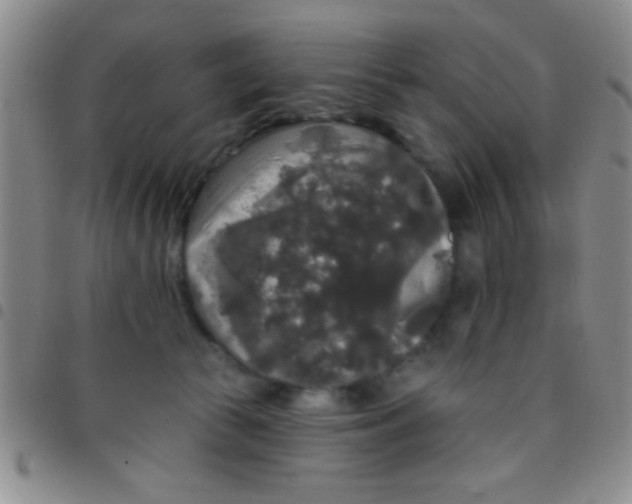 X0000097490177200803142005