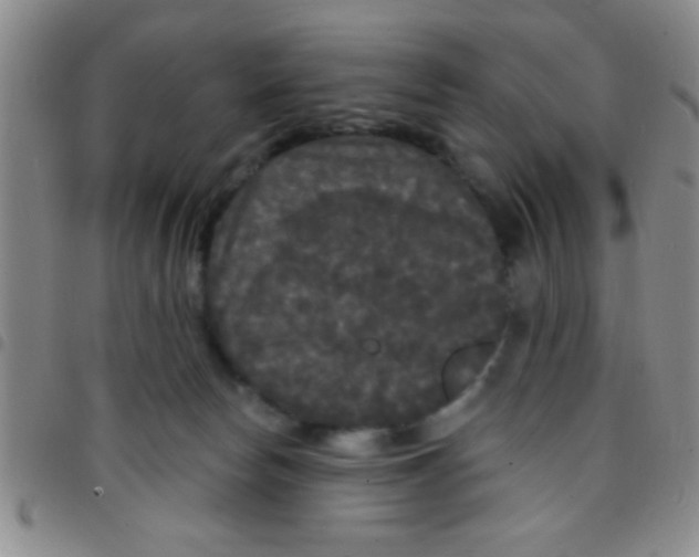 X0000097490178200803142005