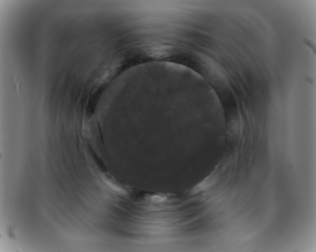 X0000097490180200803142005