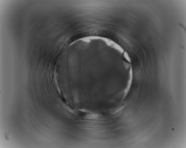 X0000097490181200803142005