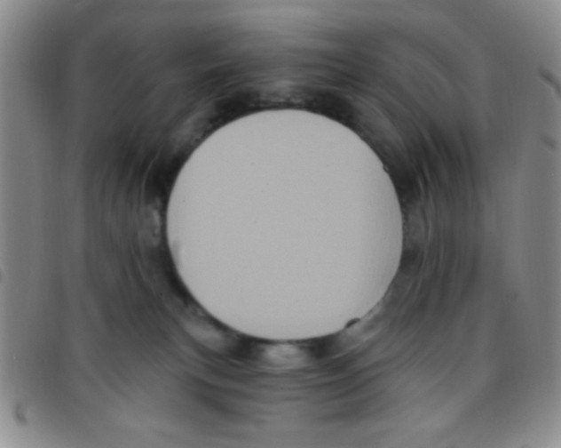 X0000097490183200803142005